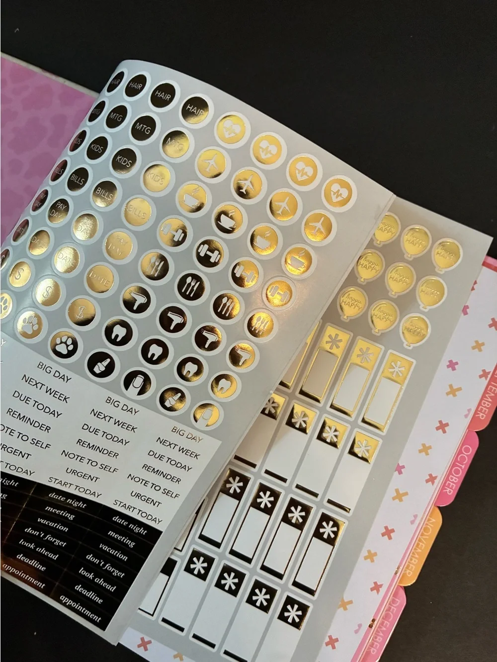 Western Cowgirl 17 month Planner